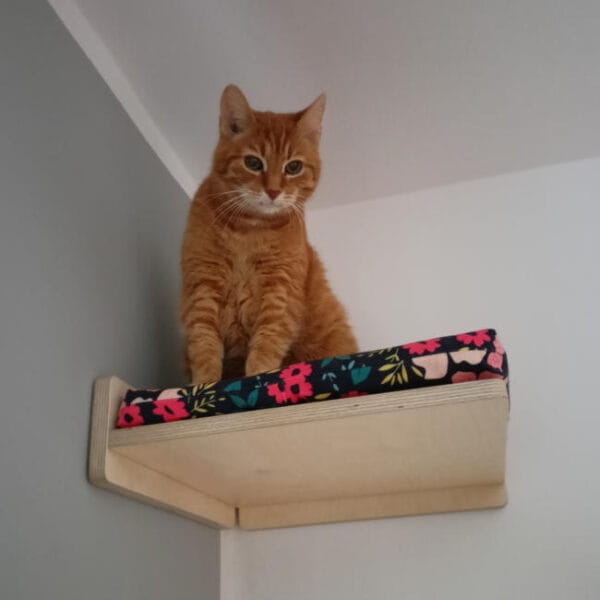 Legowisko ścienne narożne